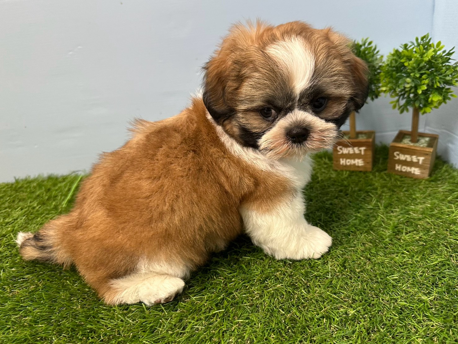 赤ちゃん写真3-2