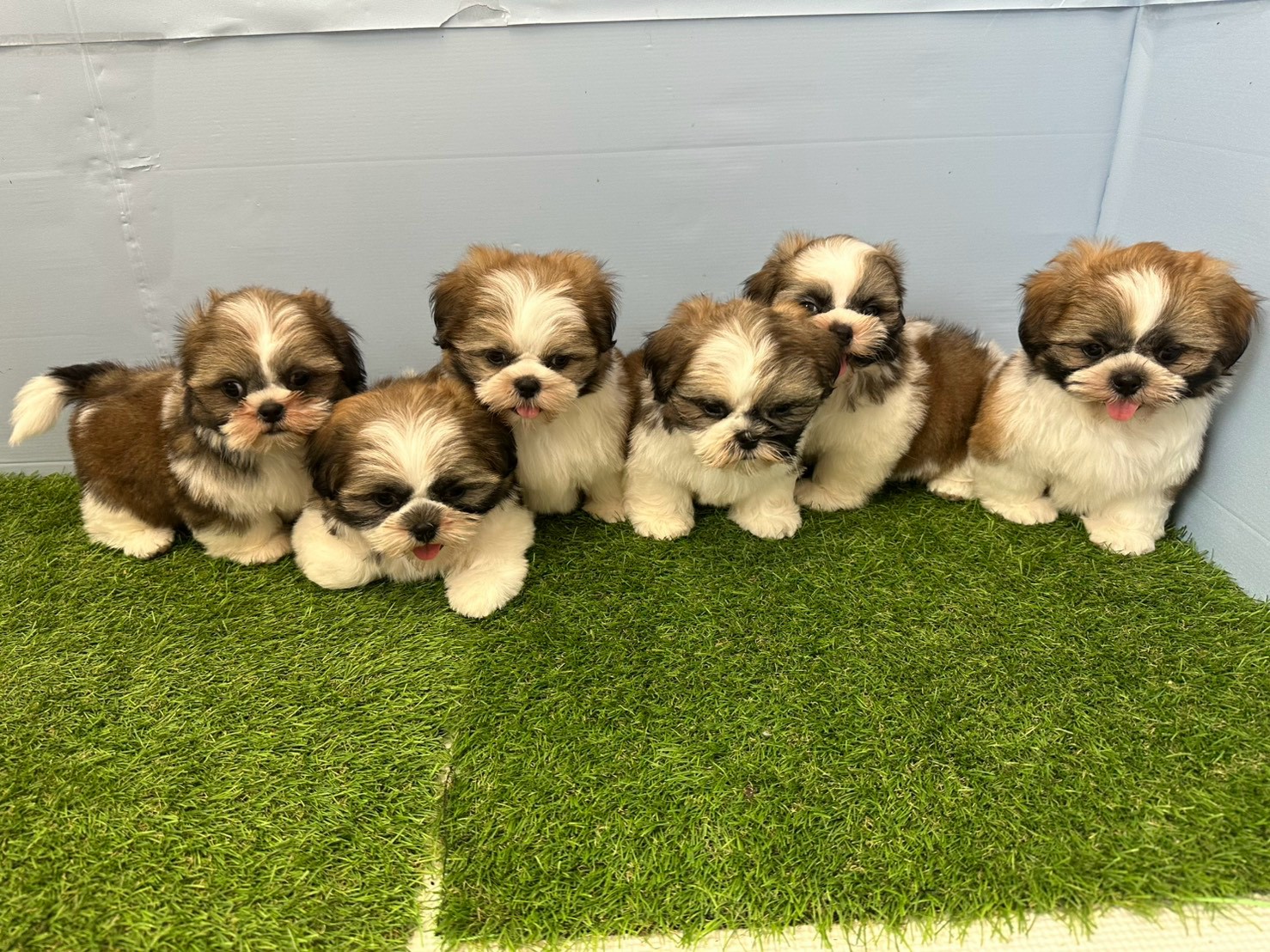 赤ちゃん写真3-3