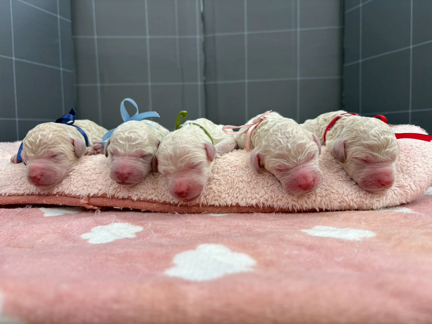 赤ちゃん写真1-3