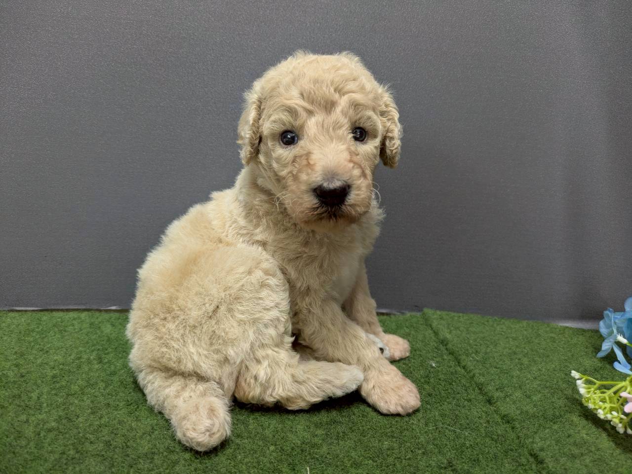 赤ちゃん写真2-2