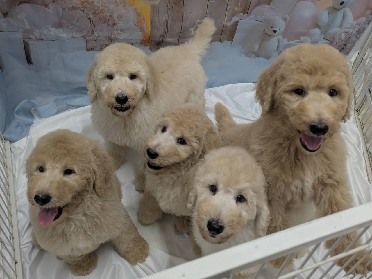 赤ちゃん写真3-3