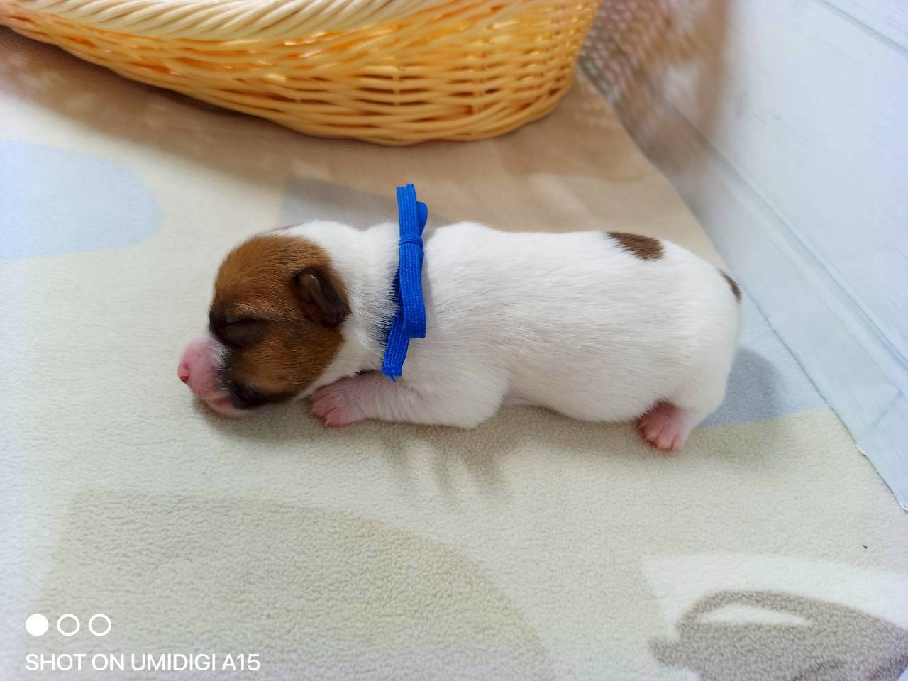 赤ちゃん写真1-2