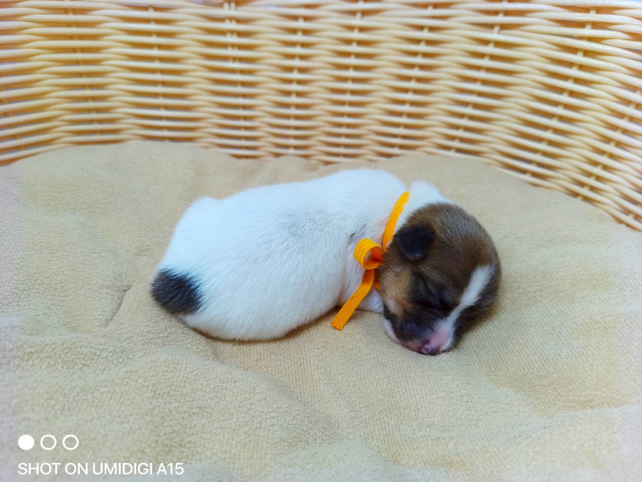 赤ちゃん写真1-2