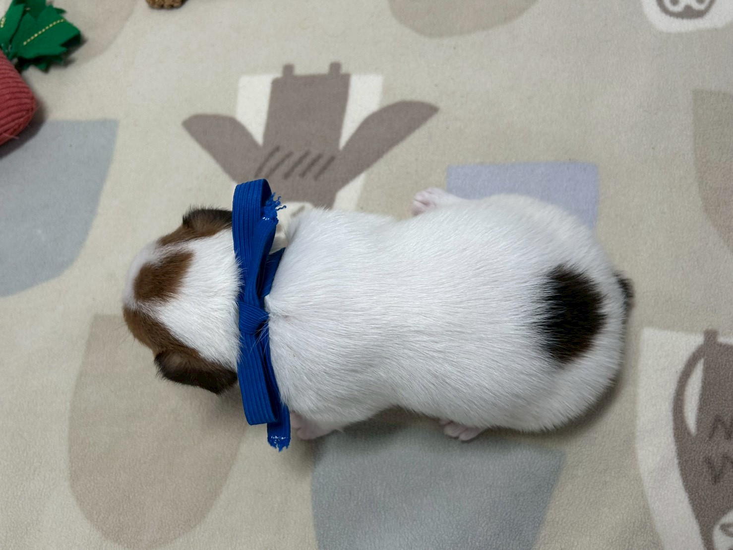 赤ちゃん写真2-3