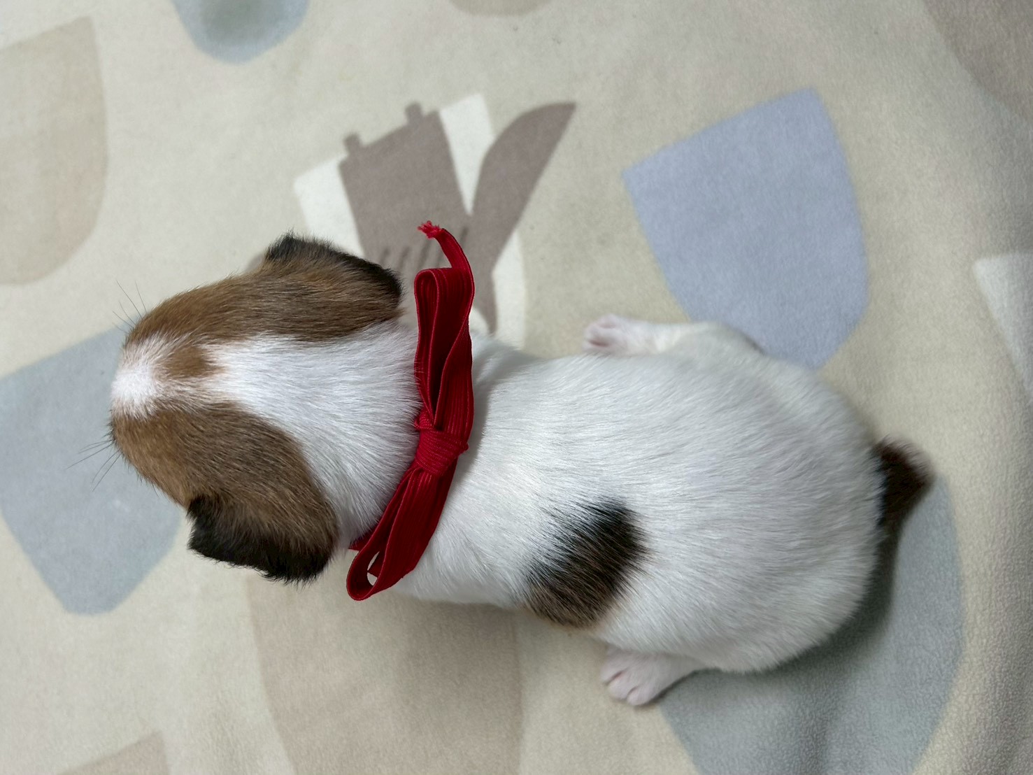 赤ちゃん写真2-3