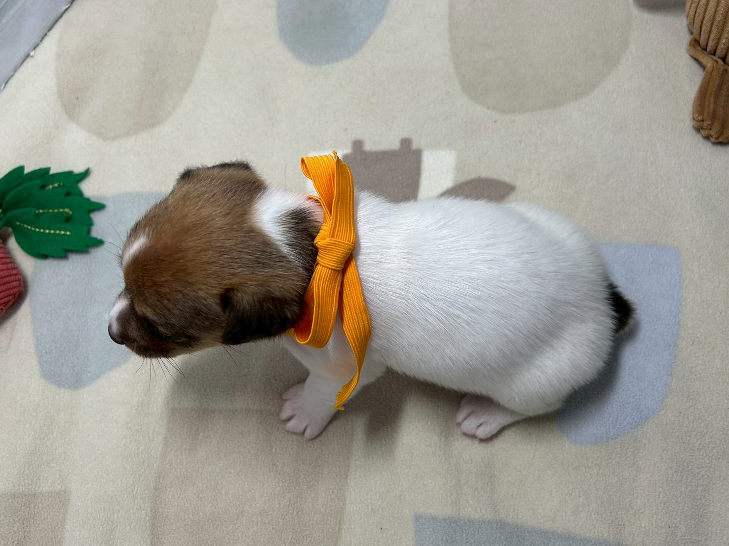 赤ちゃん写真2-3