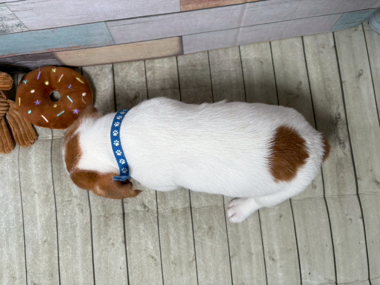 赤ちゃん写真3-3