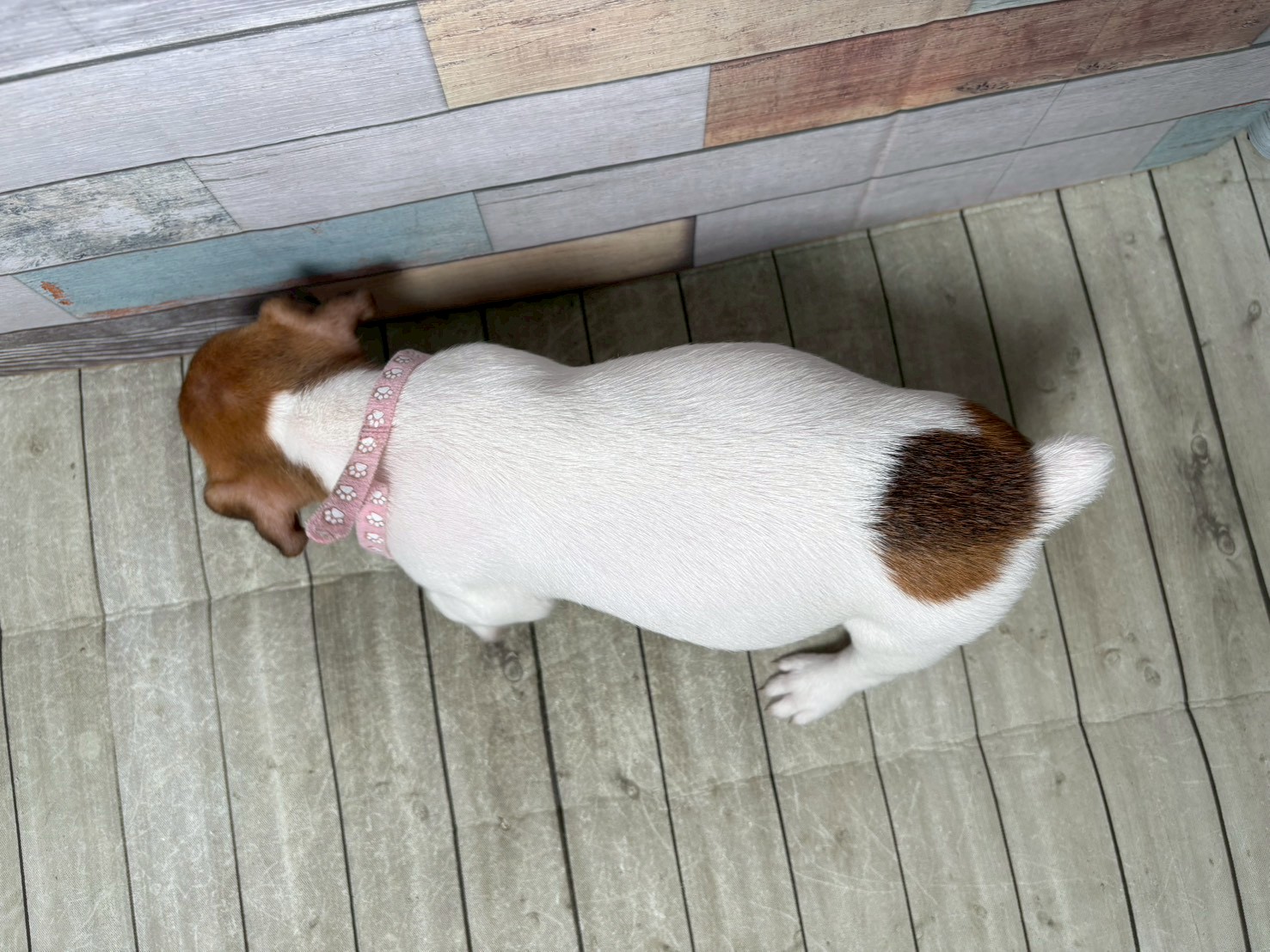 赤ちゃん写真3-3