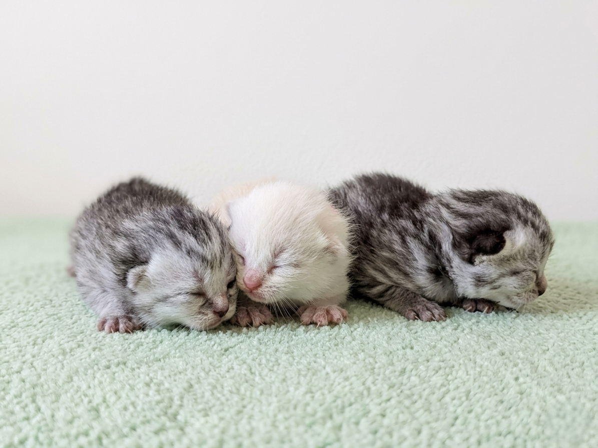 赤ちゃん写真1-3