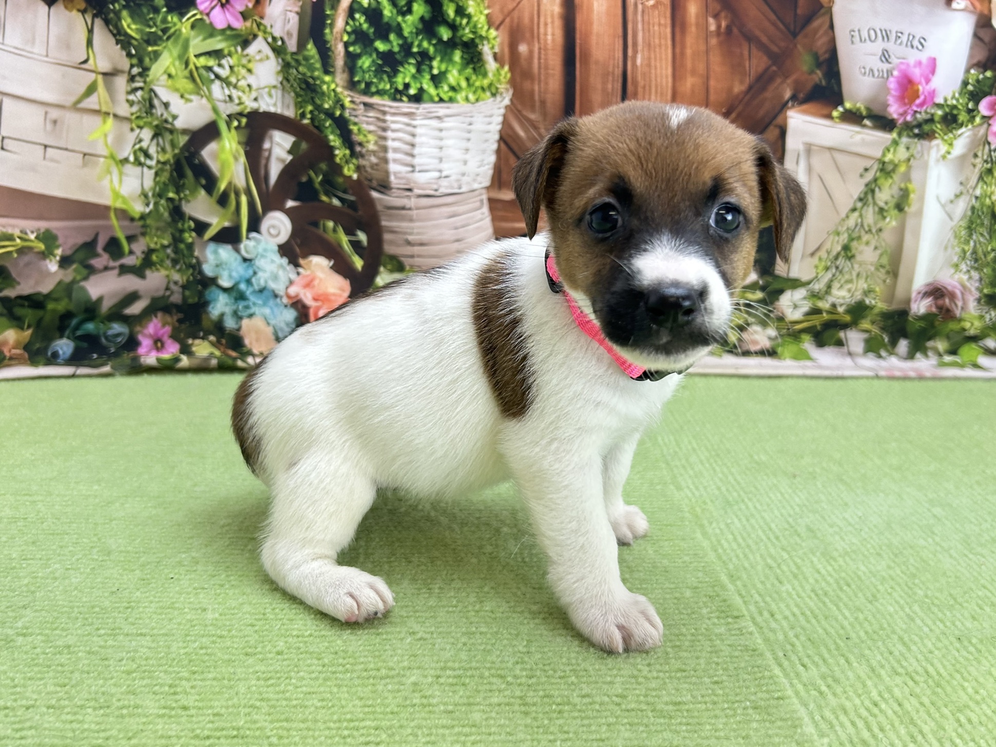 赤ちゃん写真2-2