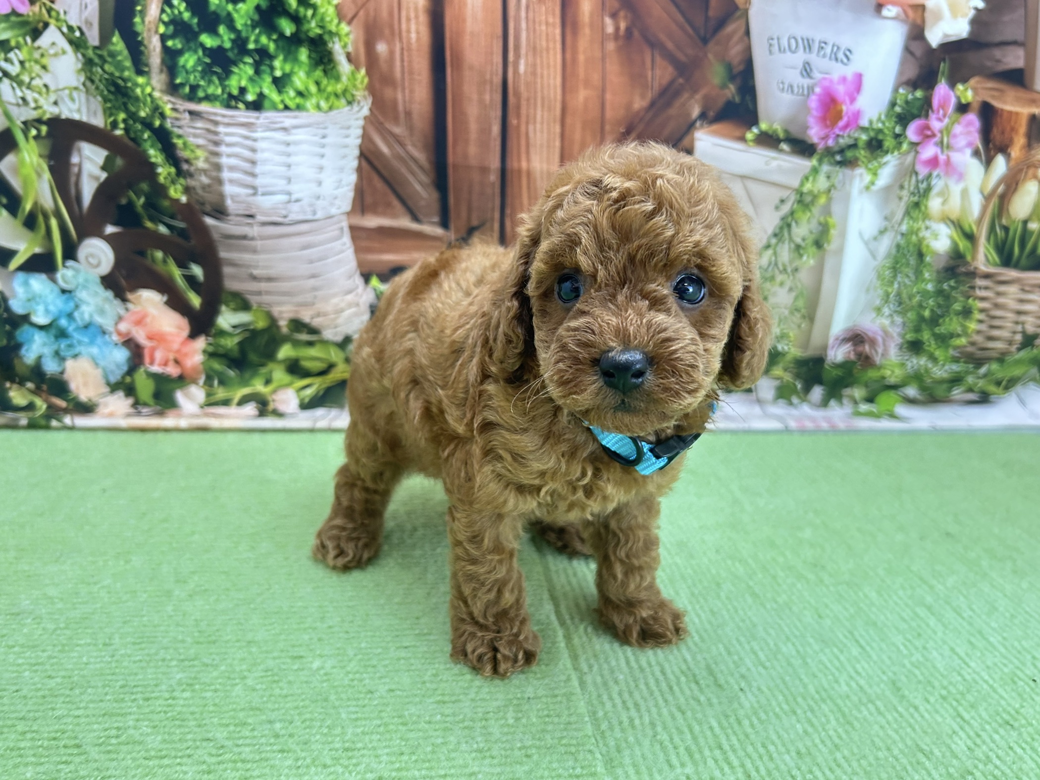 赤ちゃん写真2-2