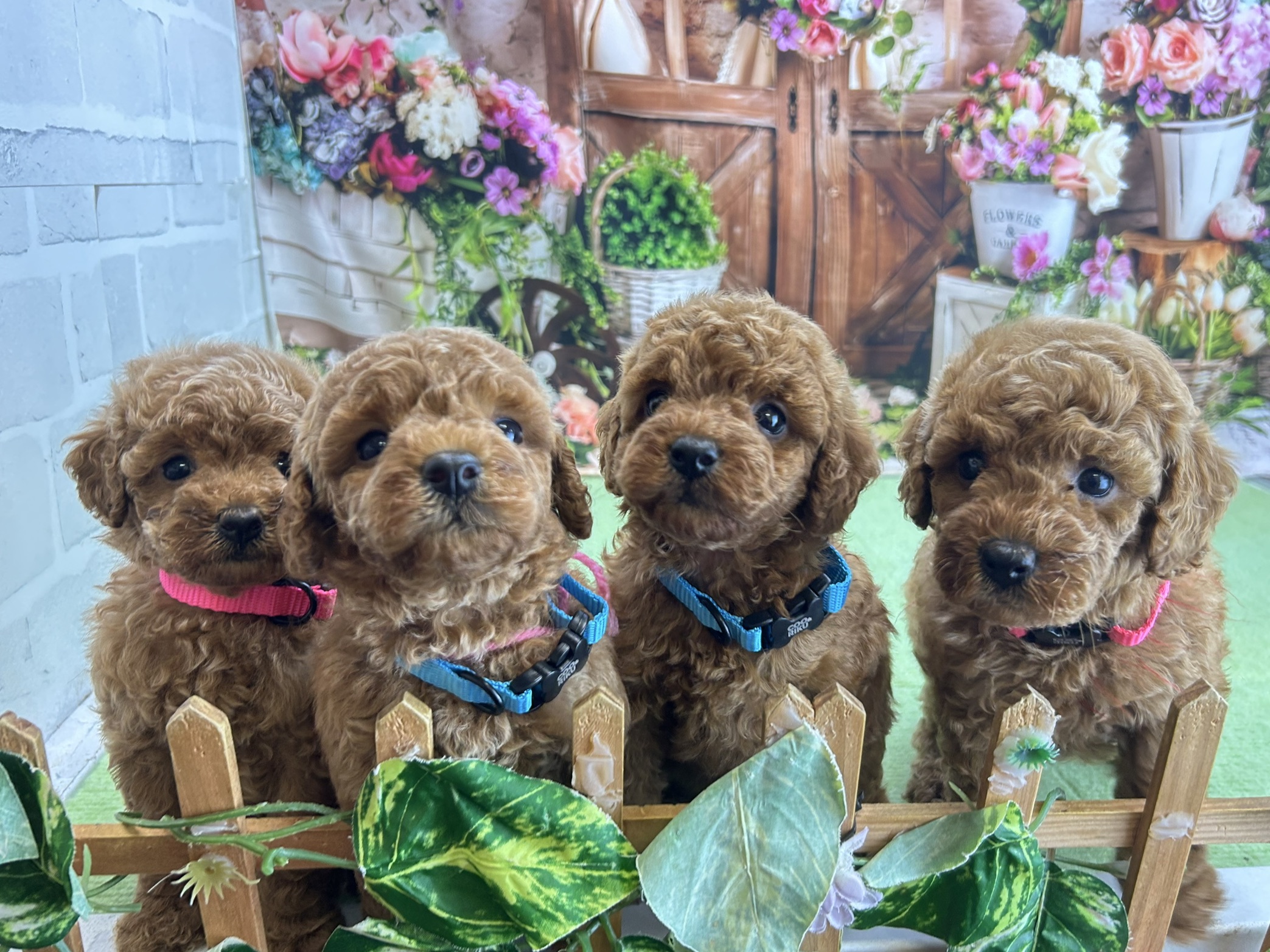 赤ちゃん写真2-3