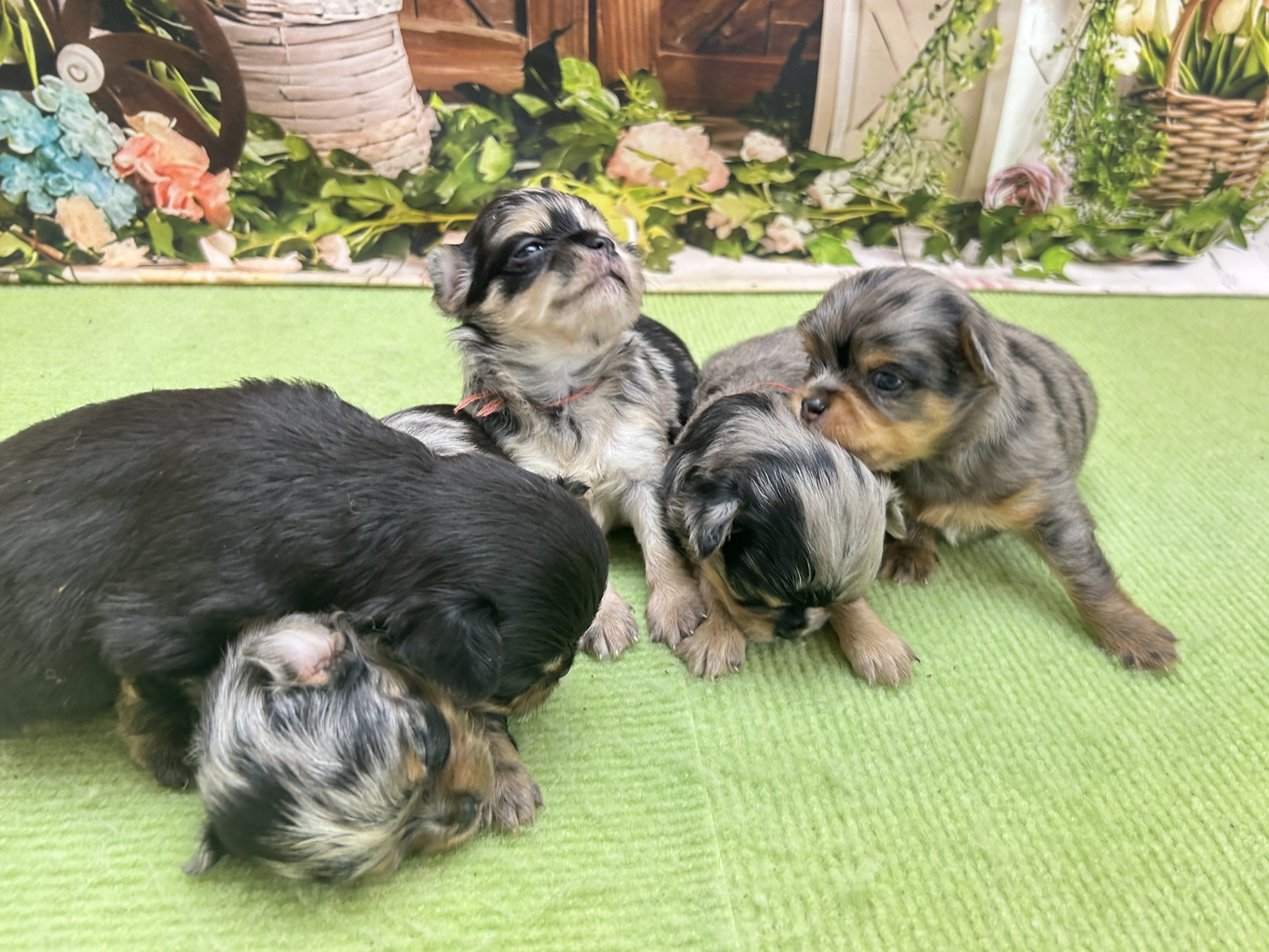 赤ちゃん写真1-3