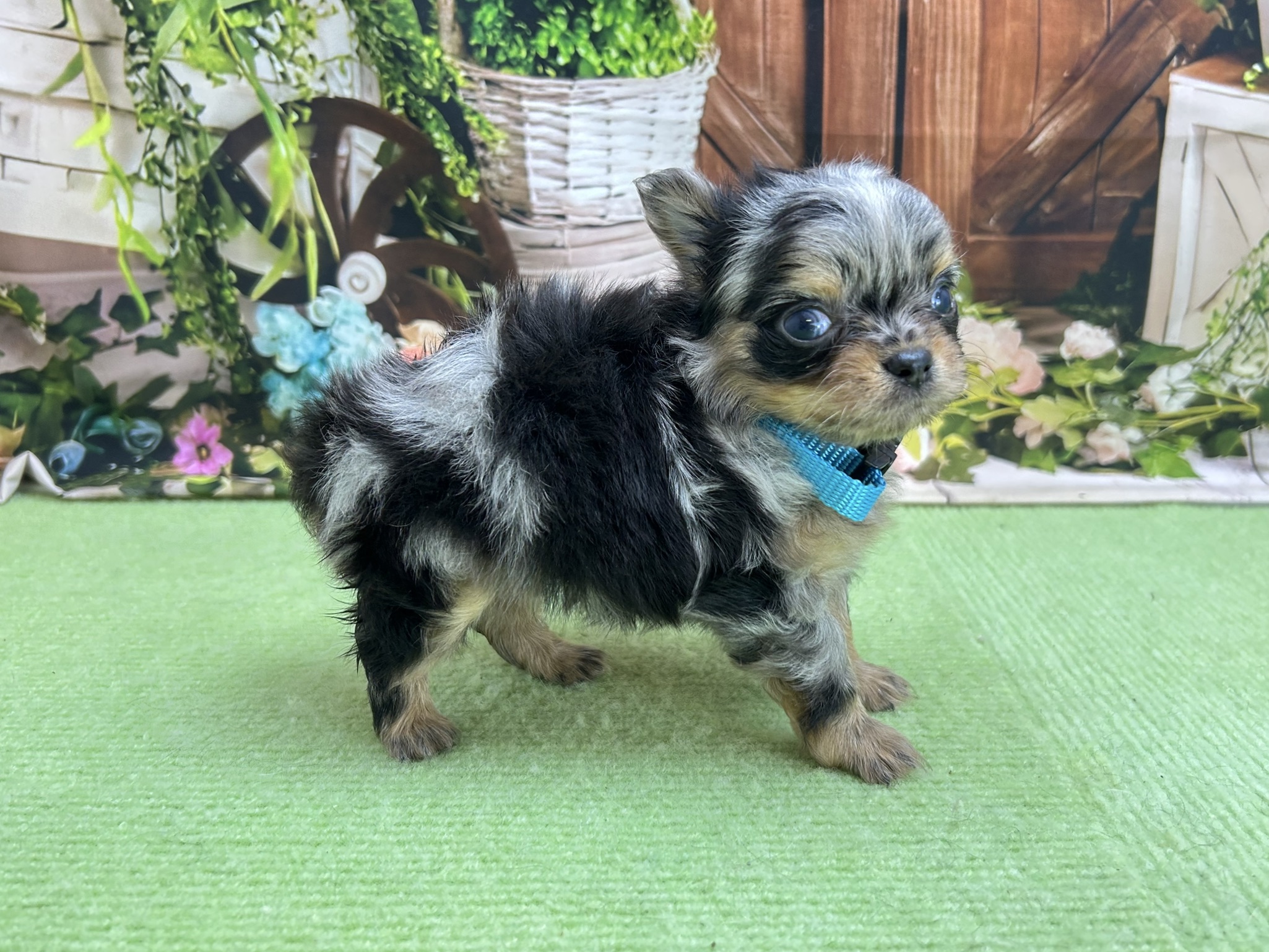 赤ちゃん写真2-2