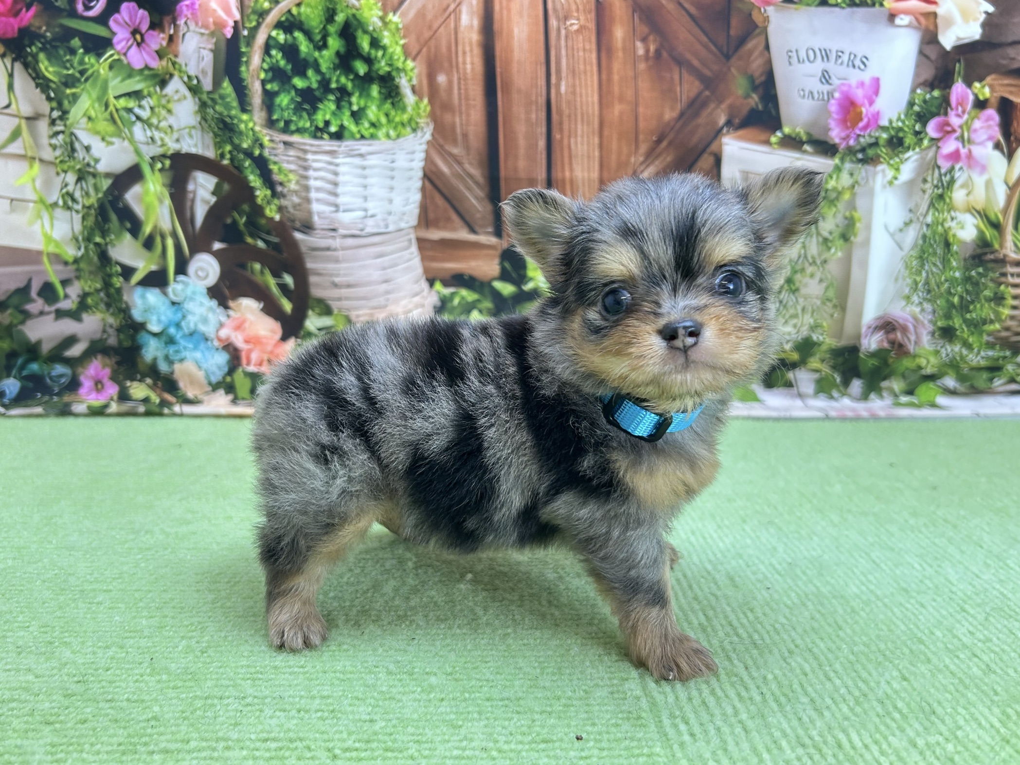 赤ちゃん写真2-2