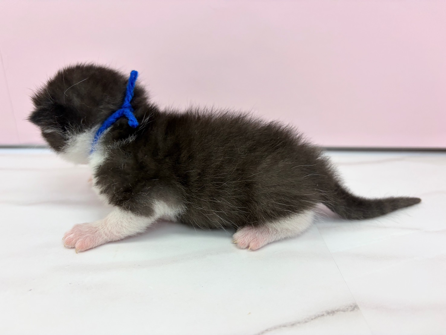 赤ちゃん写真1-2