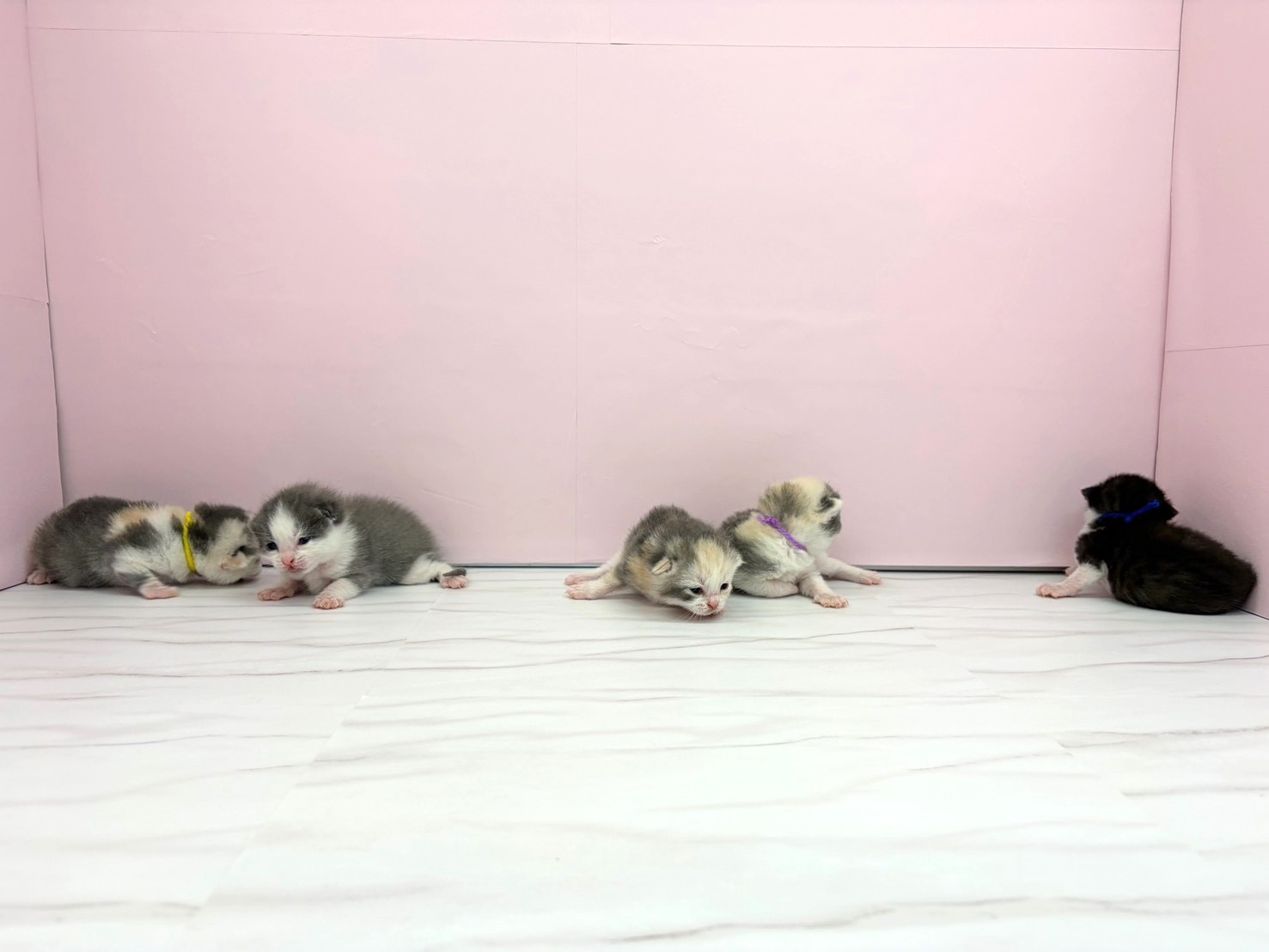 赤ちゃん写真1-3