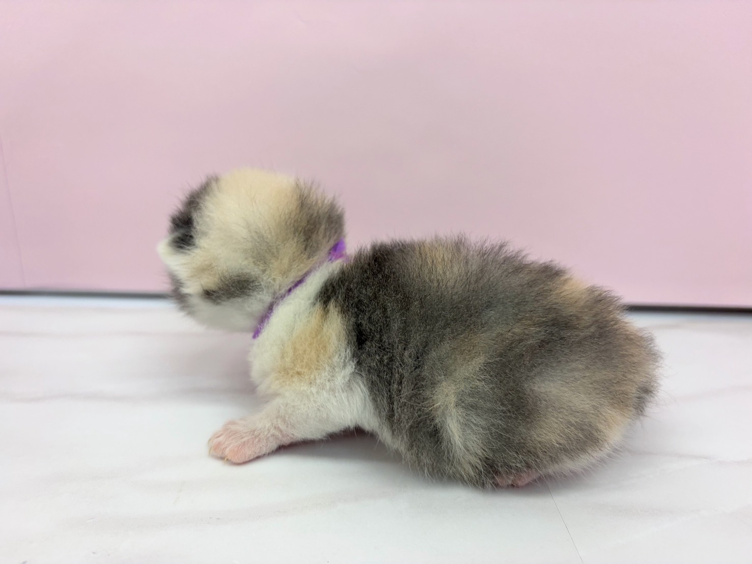 赤ちゃん写真1-2