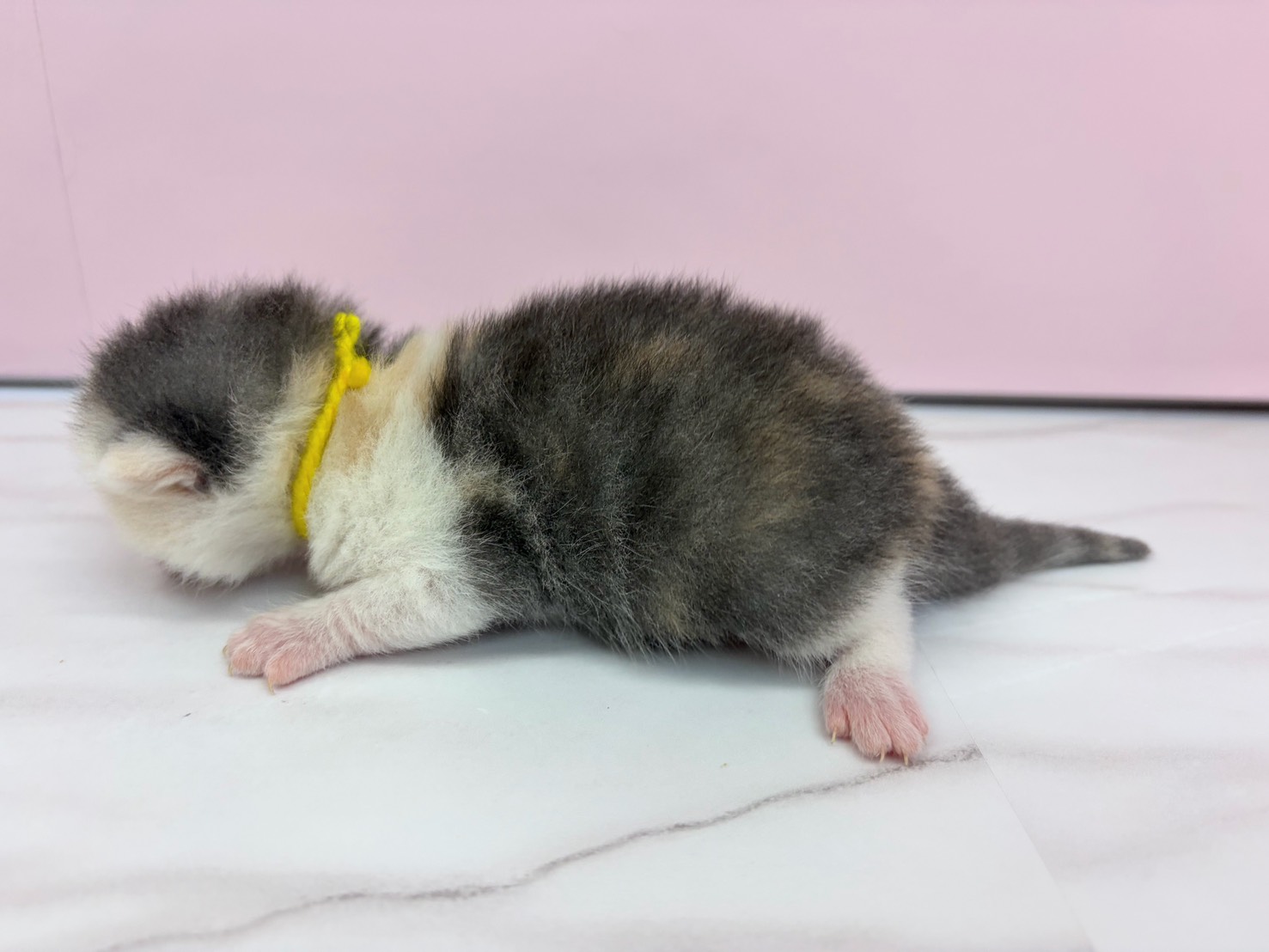 赤ちゃん写真1-2