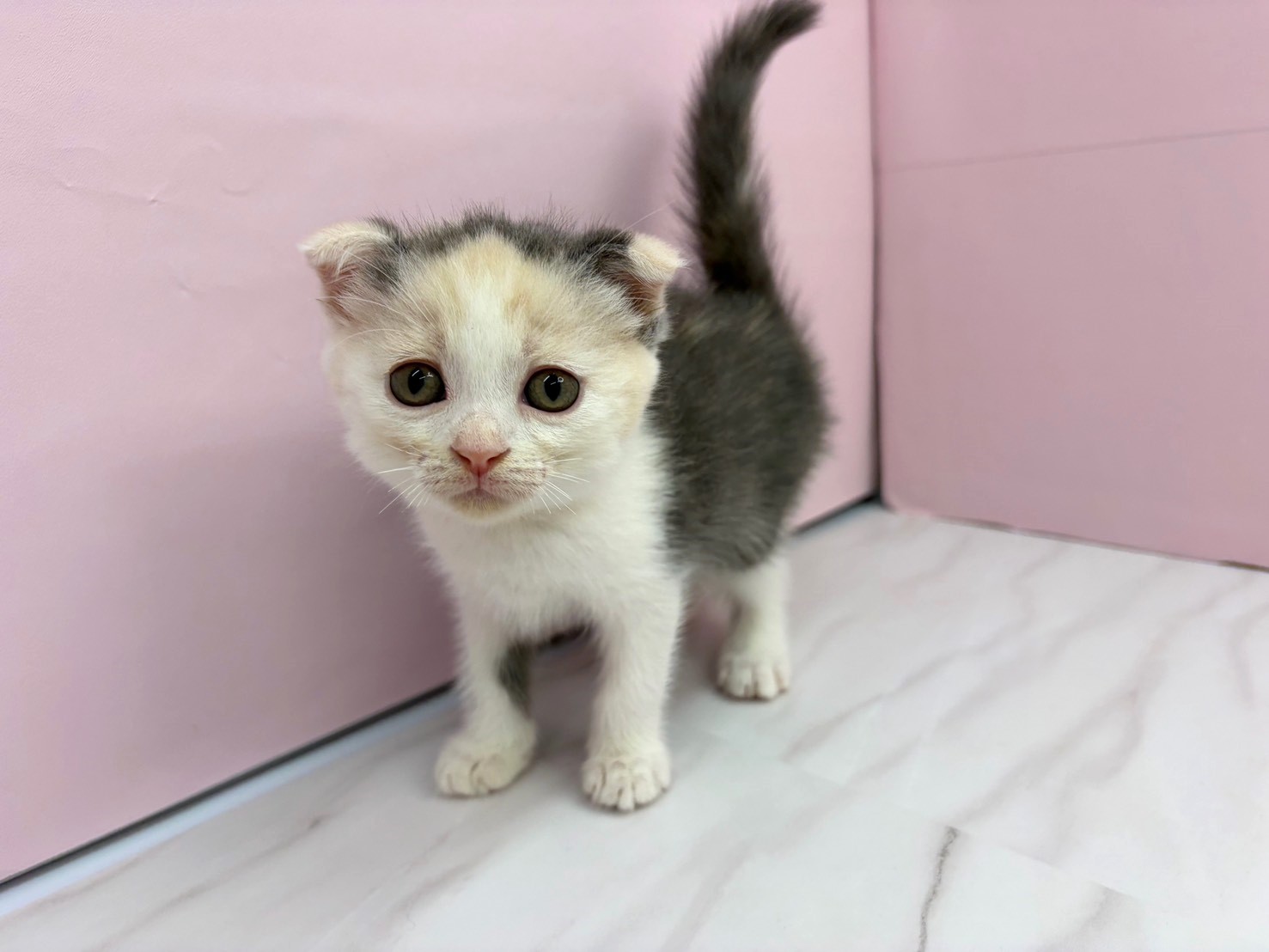 赤ちゃん写真2-1
