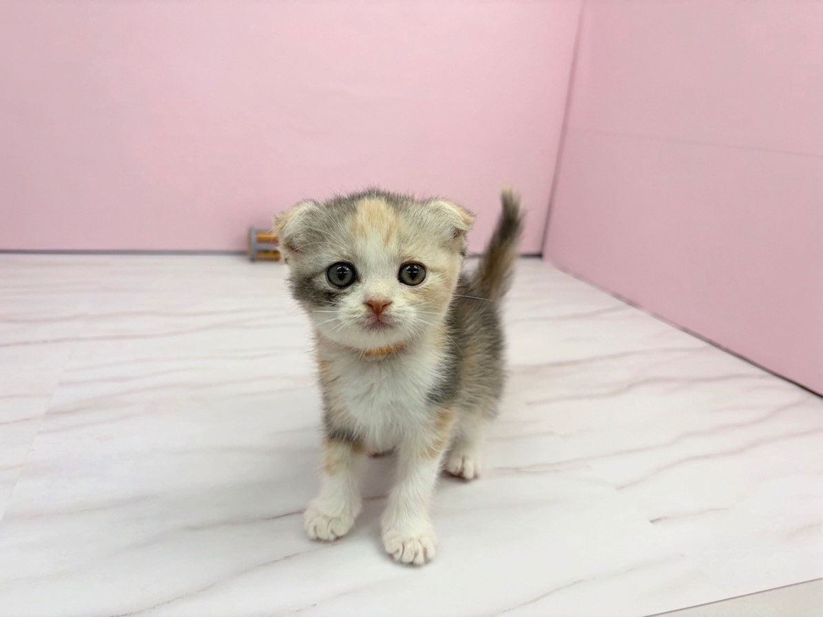赤ちゃん写真2-1