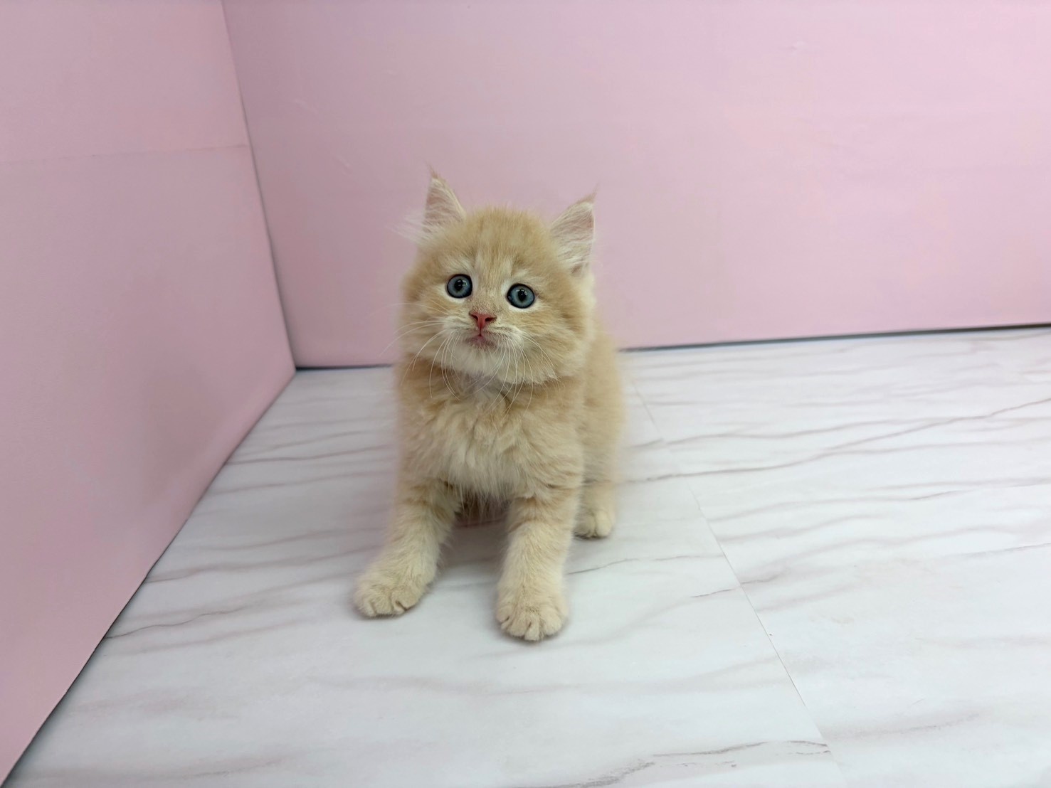赤ちゃん写真2-1