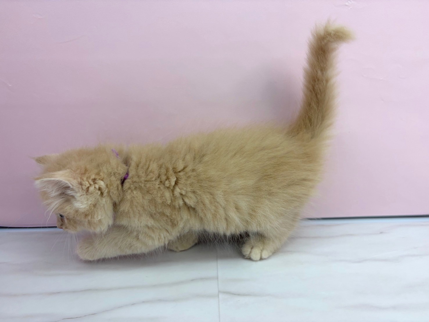 赤ちゃん写真2-2