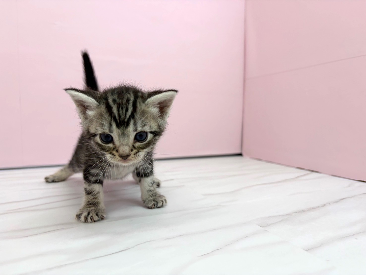 赤ちゃん写真2-1