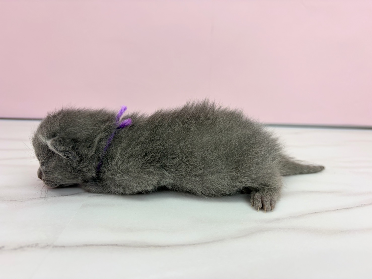 赤ちゃん写真1-2