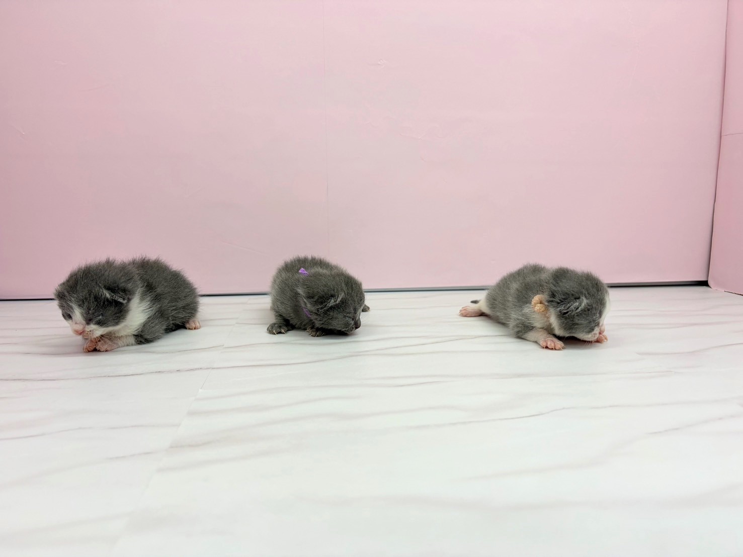 赤ちゃん写真1-3