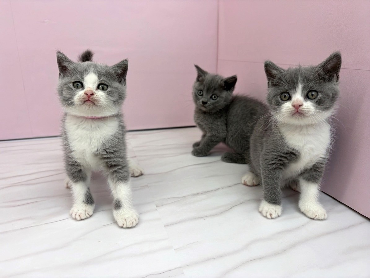 赤ちゃん写真2-3