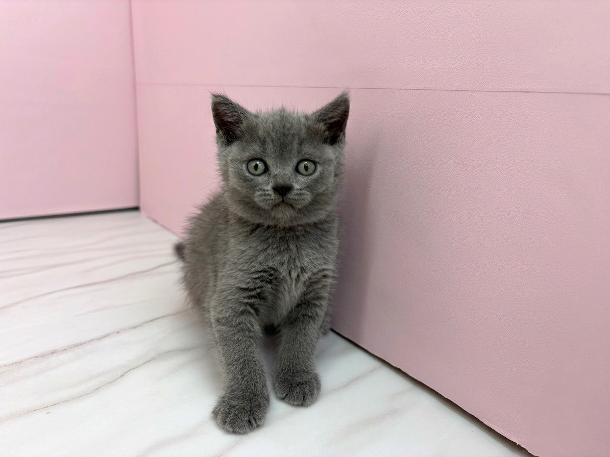 赤ちゃん写真2-1