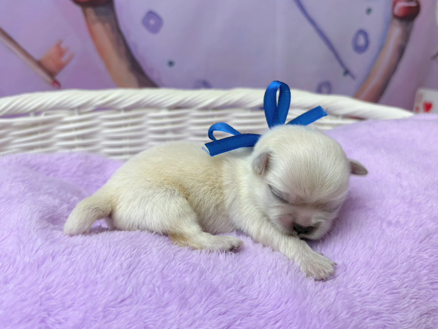 赤ちゃん写真1-2