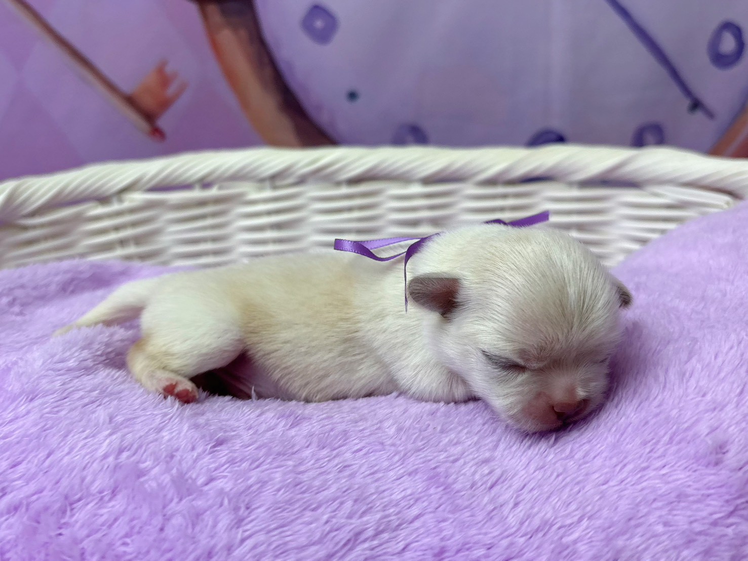 赤ちゃん写真1-2