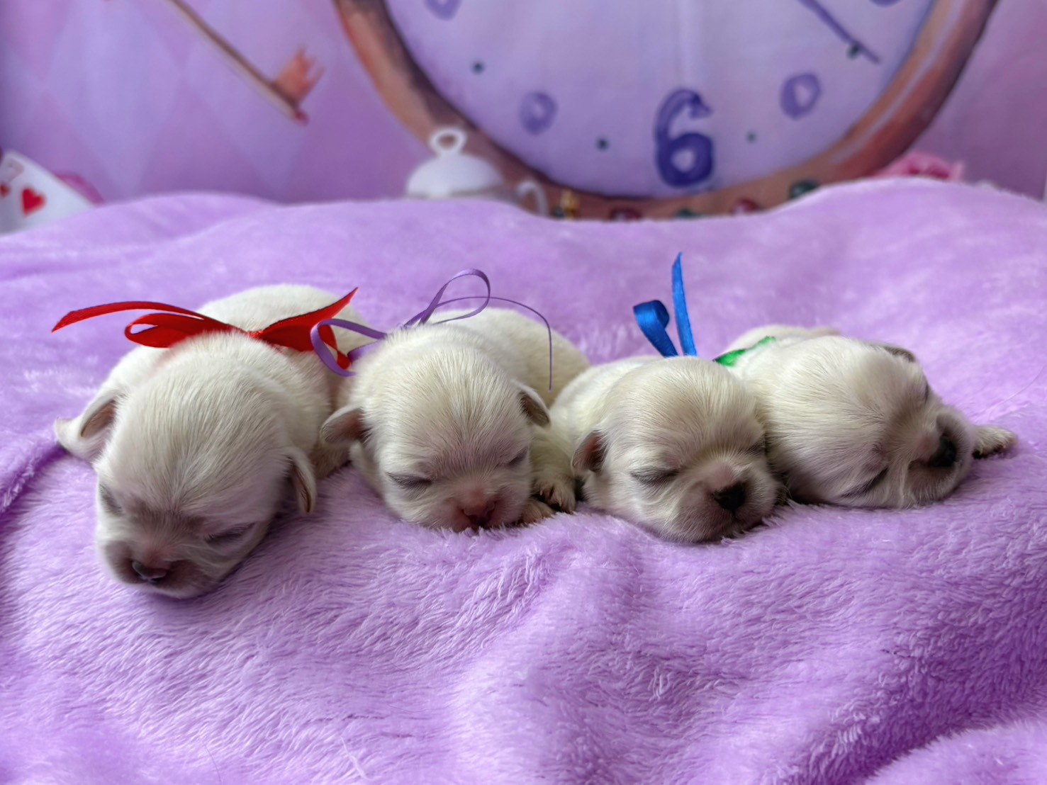 赤ちゃん写真1-3
