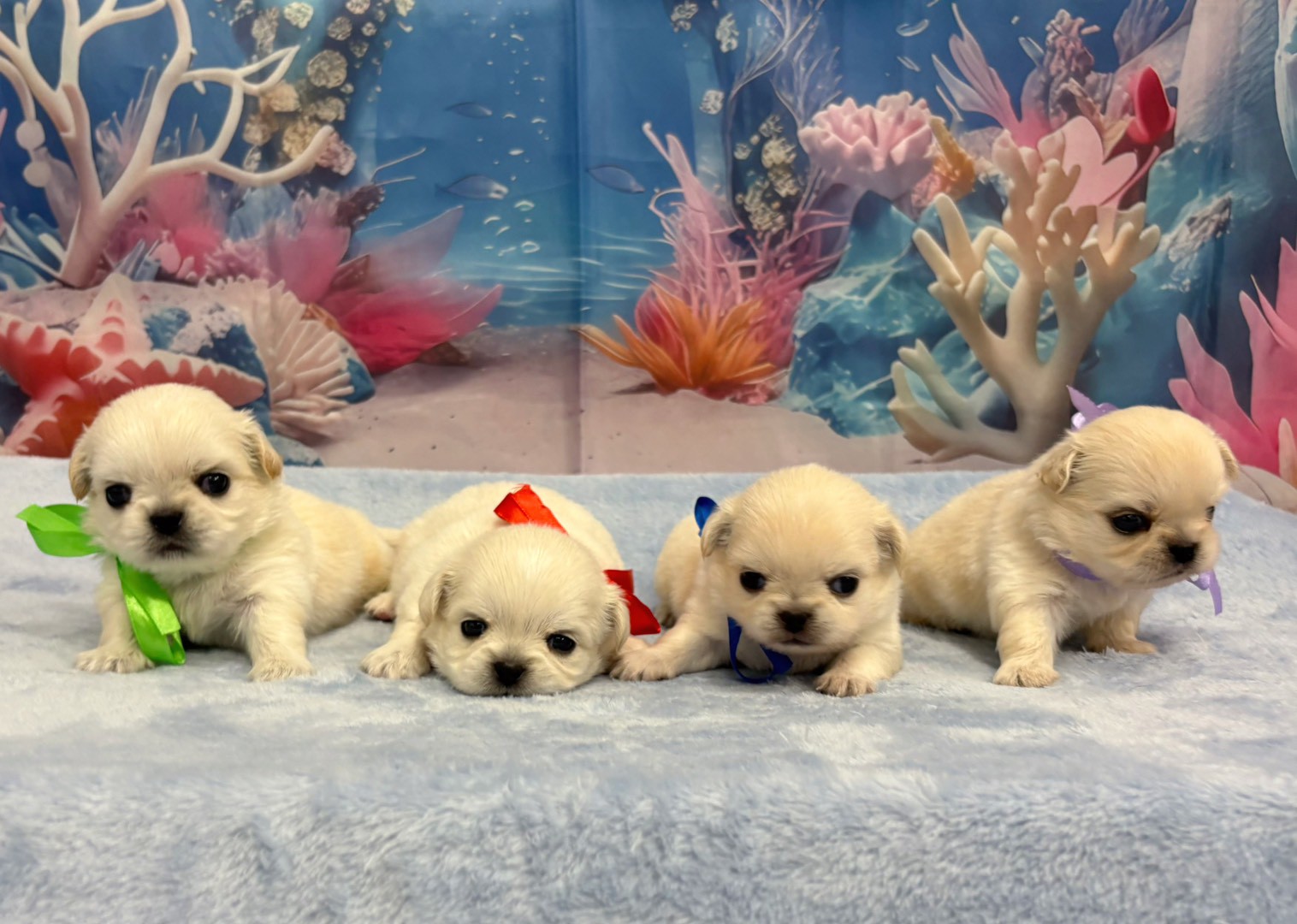 赤ちゃん写真2-3
