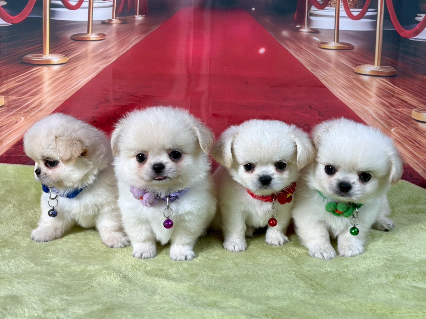 赤ちゃん写真3-3