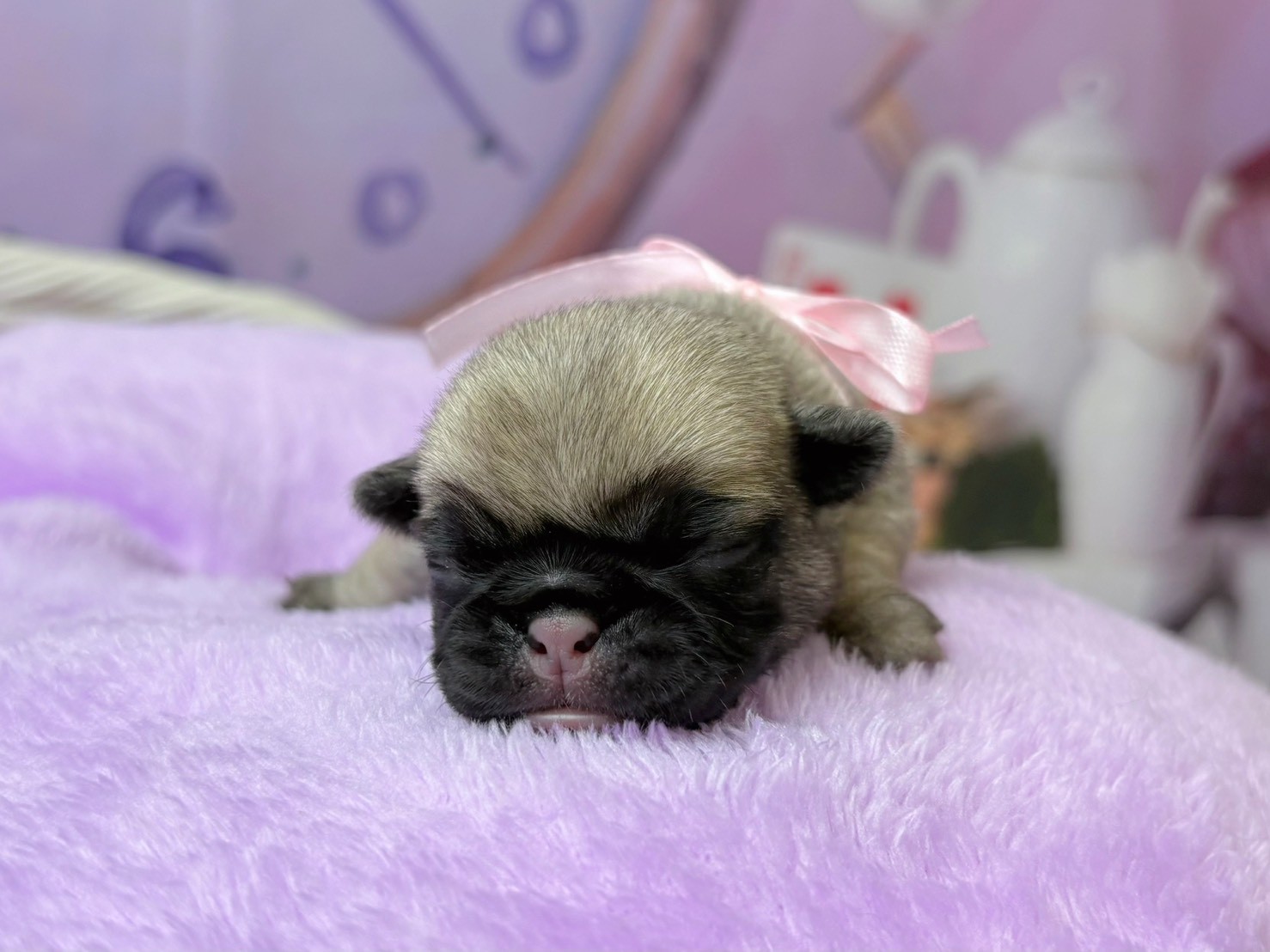 赤ちゃん写真1-1