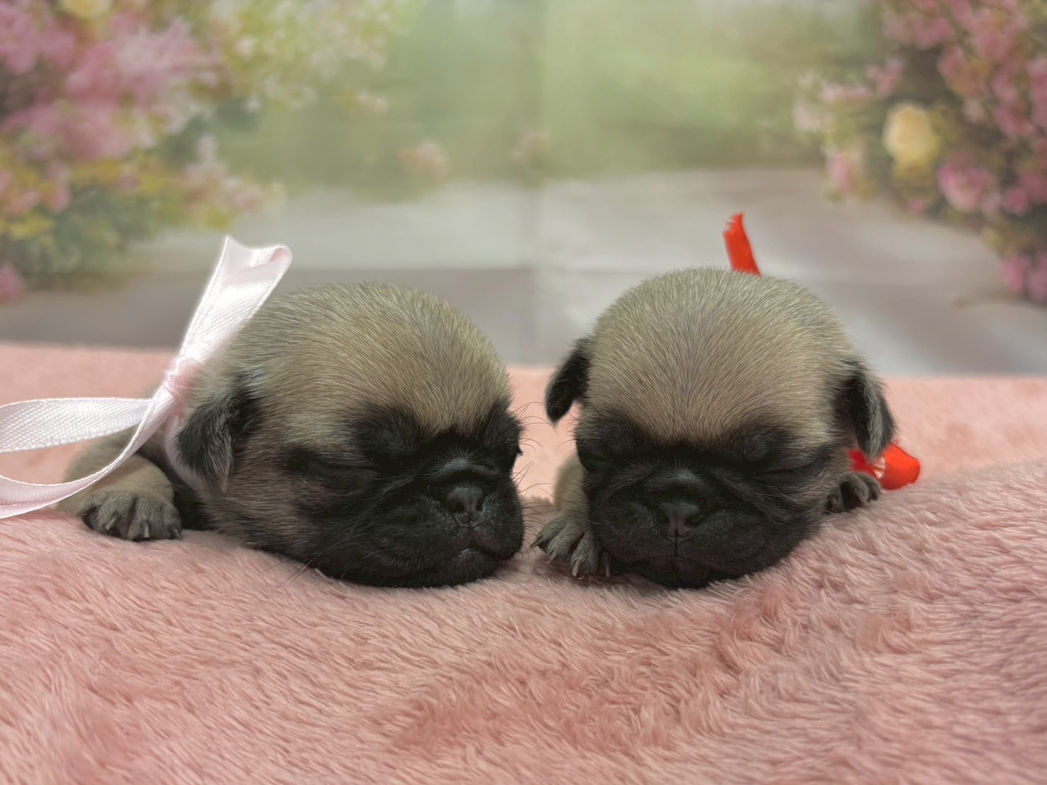 赤ちゃん写真2-3