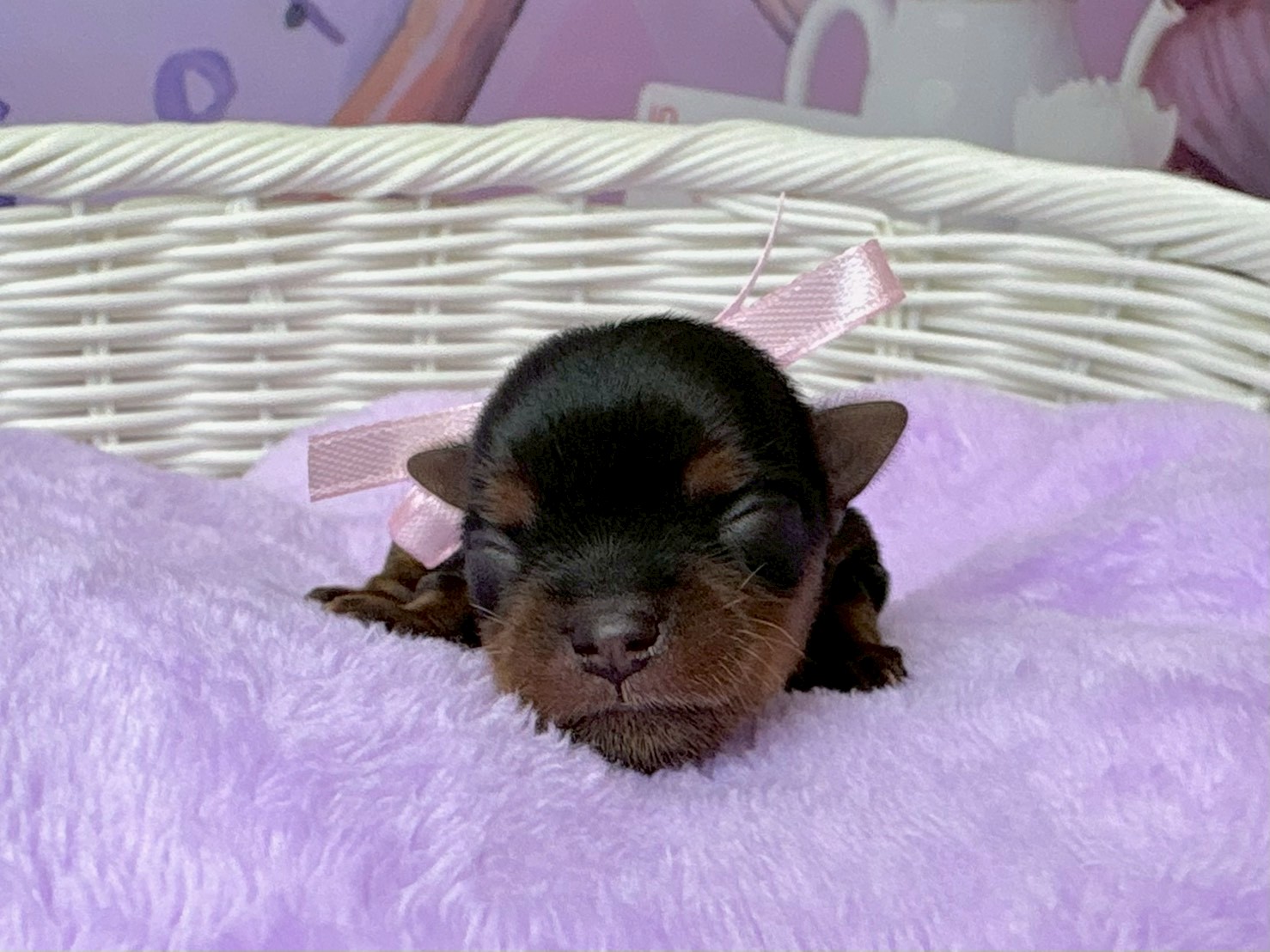 赤ちゃん写真1-1