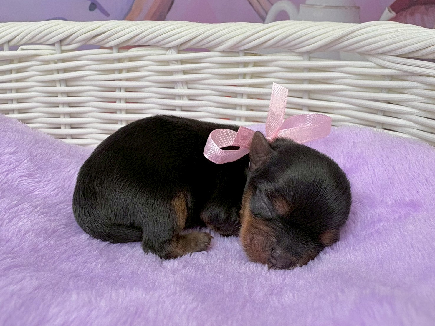 赤ちゃん写真1-2