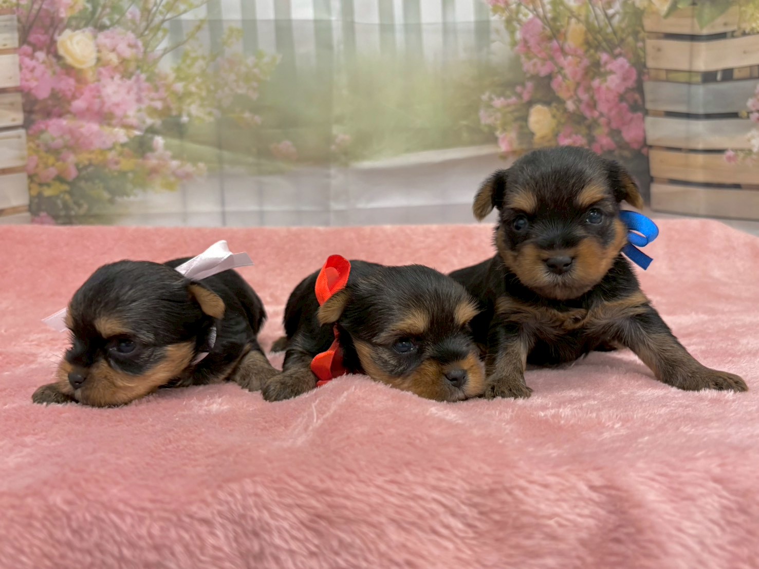 赤ちゃん写真2-3
