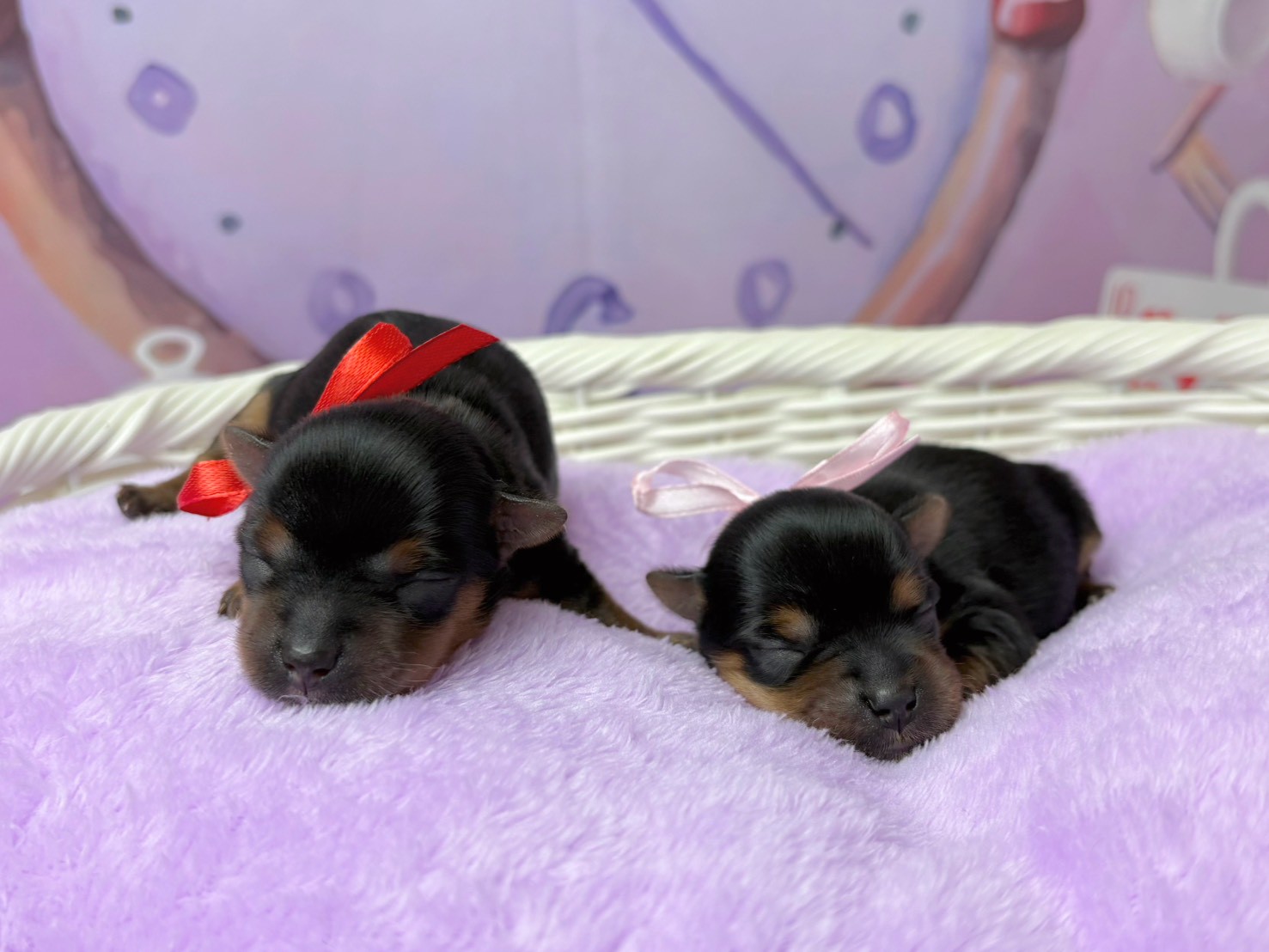 赤ちゃん写真1-3