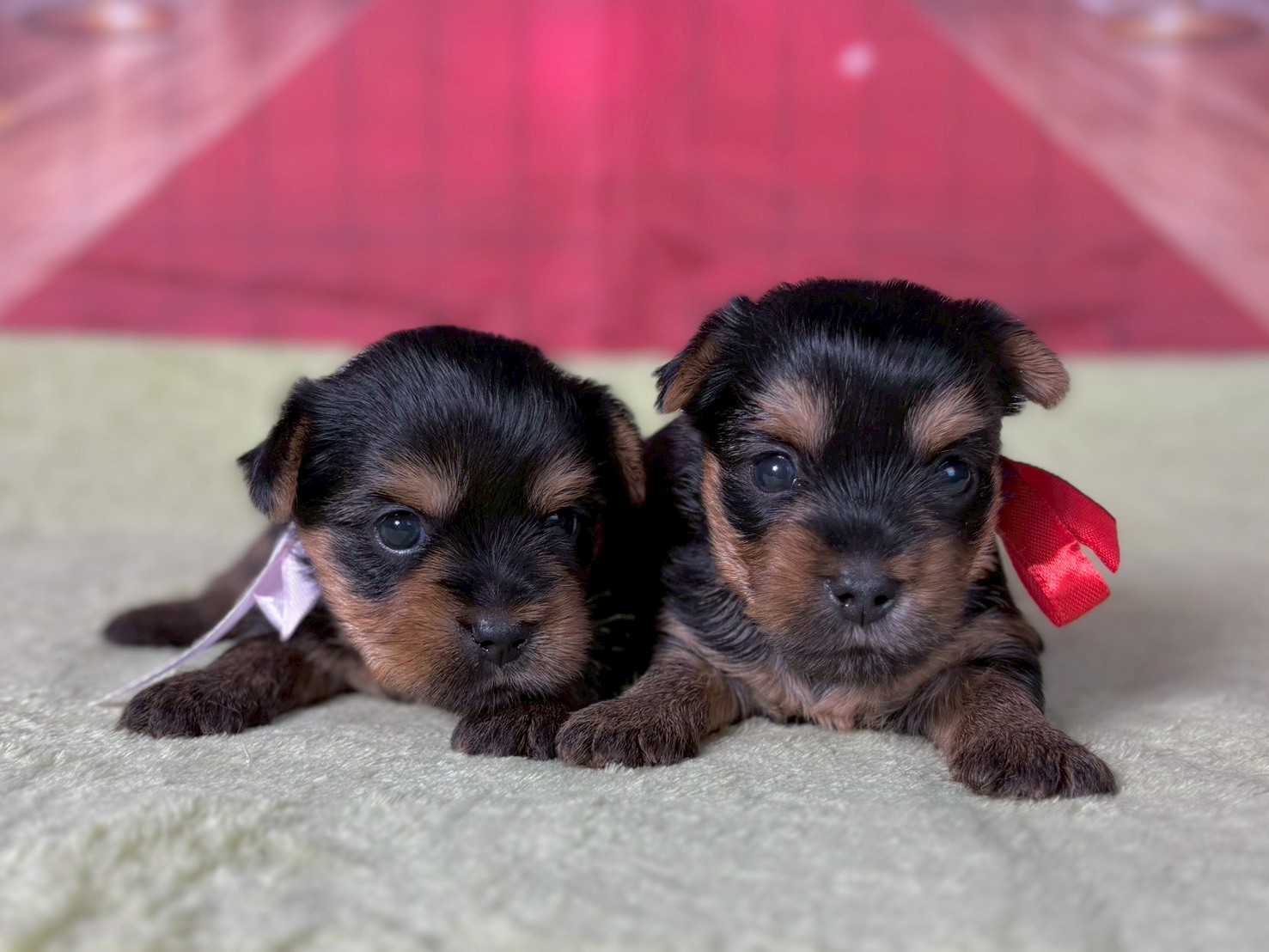 赤ちゃん写真2-3