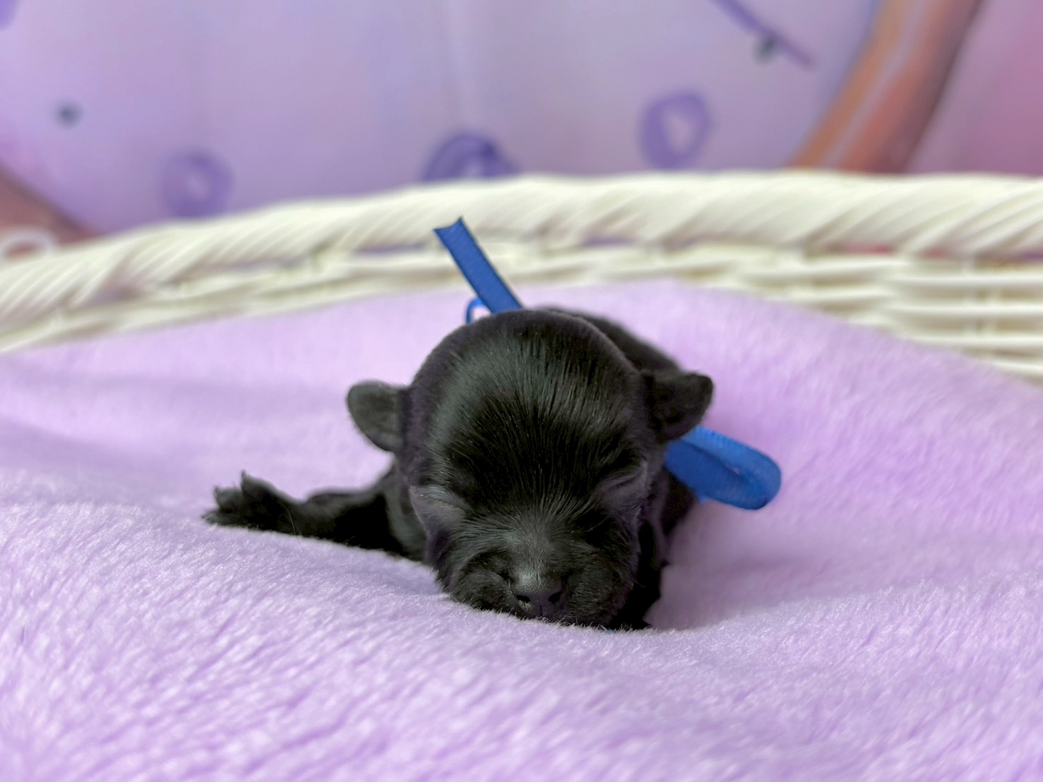 赤ちゃん写真1-1