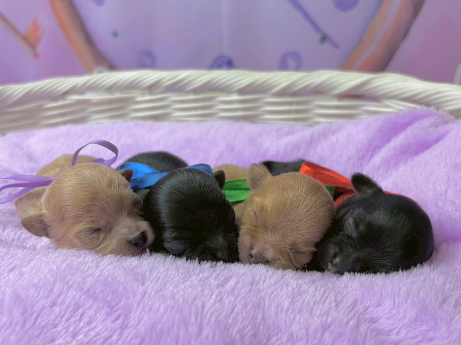 赤ちゃん写真1-3