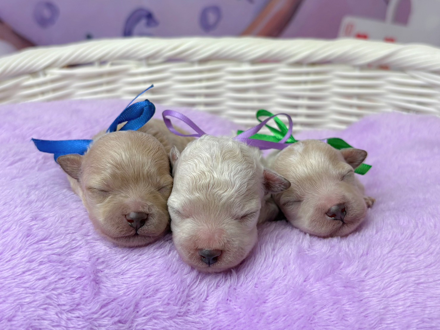 赤ちゃん写真1-3