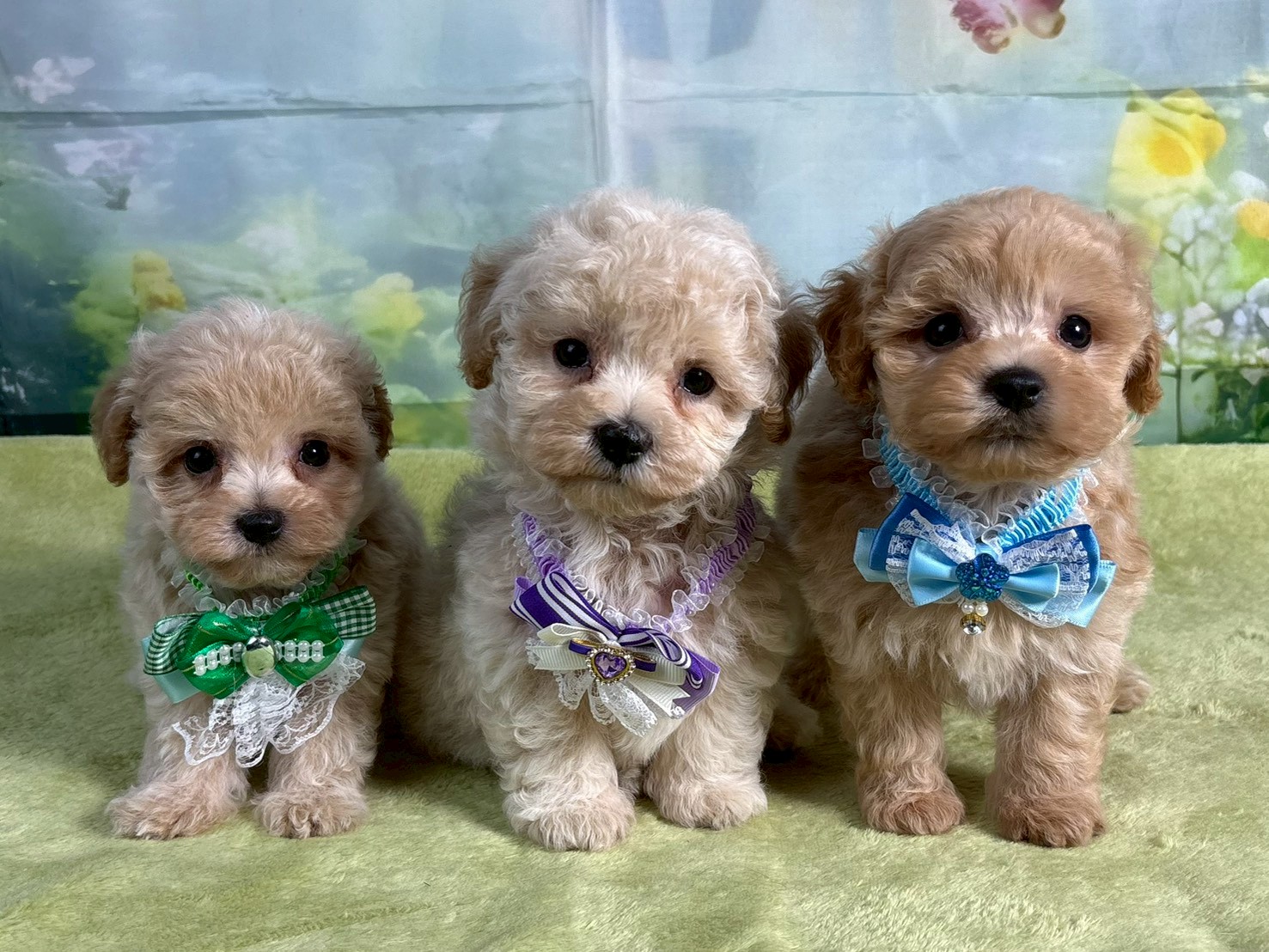赤ちゃん写真3-3