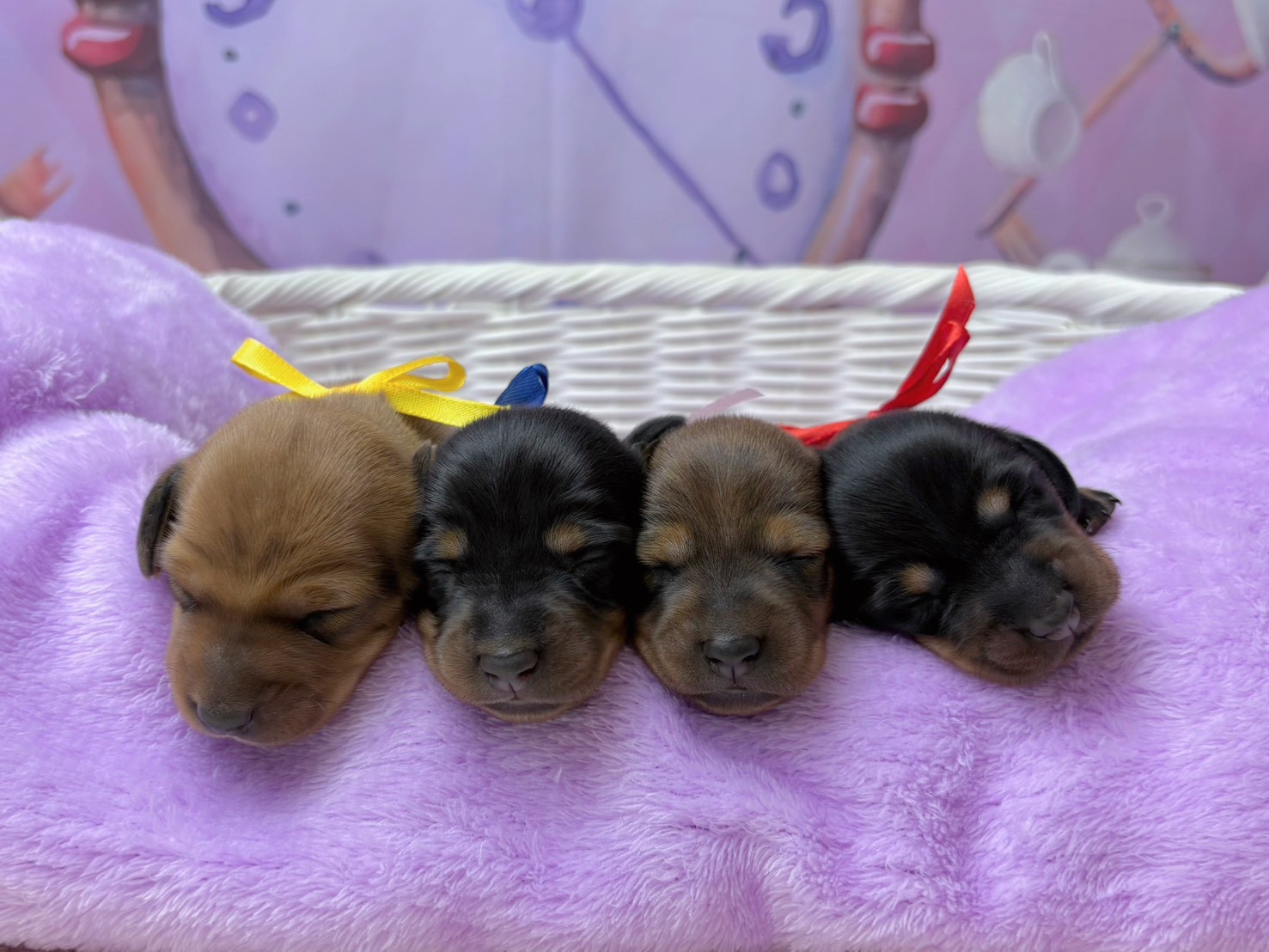赤ちゃん写真1-3
