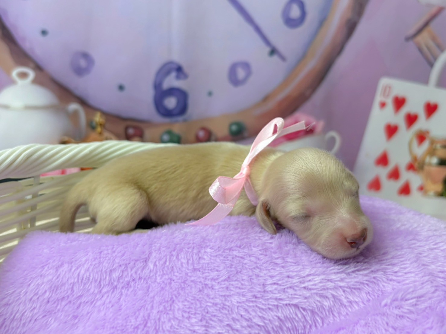 赤ちゃん写真1-2